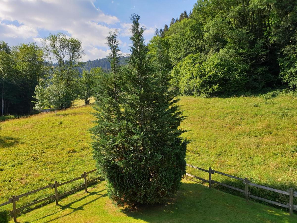 LE BOIS JOLI Chalet 4 étoiles CLEDICIHOME Cadre paisible en lisière de forêt Gérardmer Esterno foto