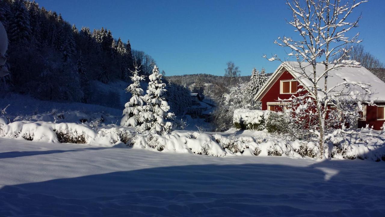 LE BOIS JOLI Chalet 4 étoiles CLEDICIHOME Cadre paisible en lisière de forêt Gérardmer Esterno foto