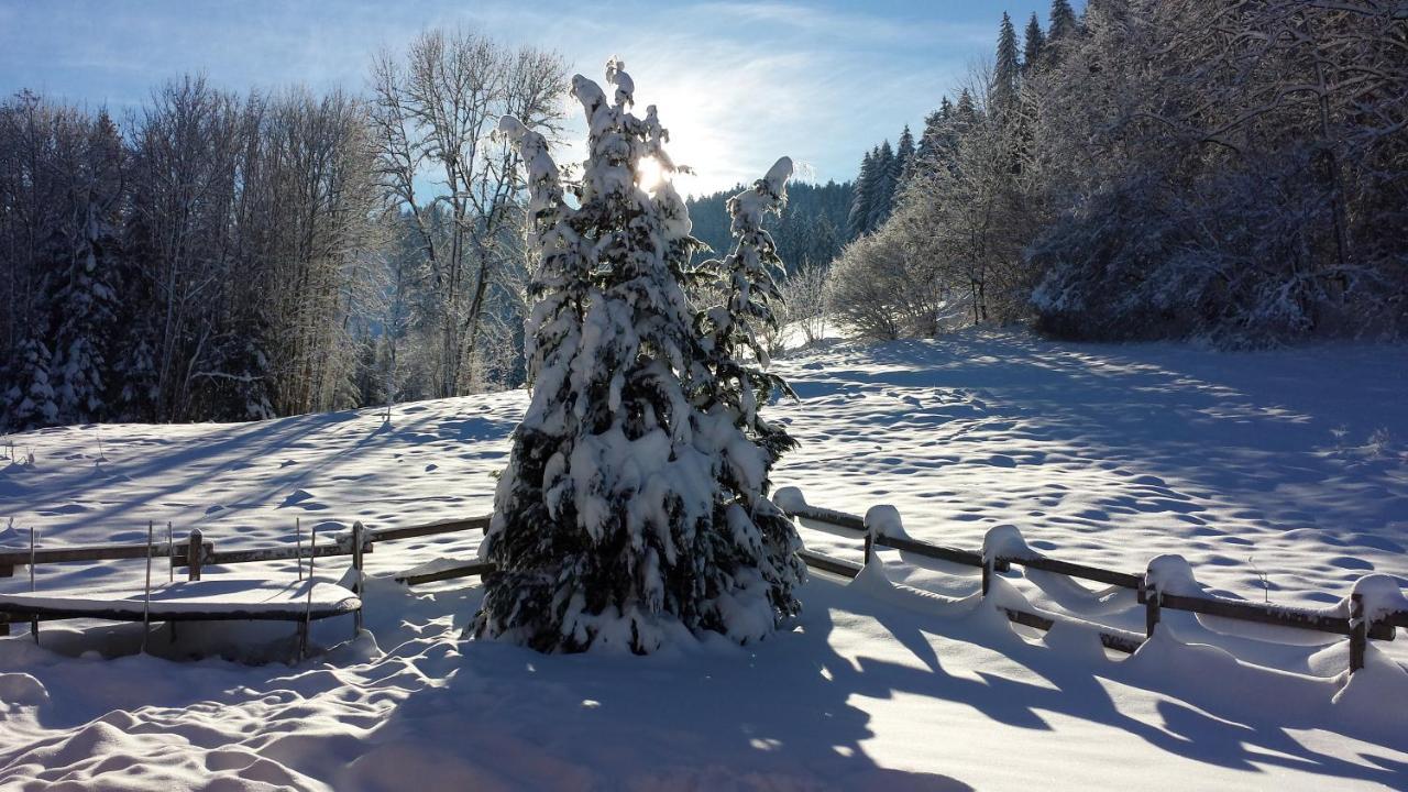 LE BOIS JOLI Chalet 4 étoiles CLEDICIHOME Cadre paisible en lisière de forêt Gérardmer Esterno foto