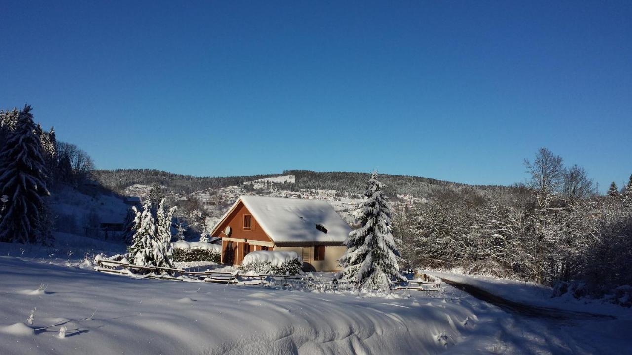 LE BOIS JOLI Chalet 4 étoiles CLEDICIHOME Cadre paisible en lisière de forêt Gérardmer Esterno foto