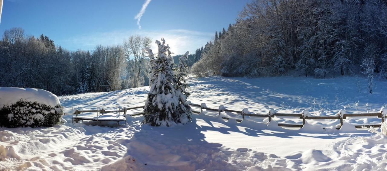 LE BOIS JOLI Chalet 4 étoiles CLEDICIHOME Cadre paisible en lisière de forêt Gérardmer Esterno foto